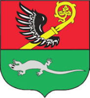 Gmina Ryńsk